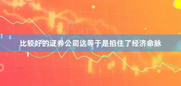 比较好的证券公司这等于是掐住了经济命脉