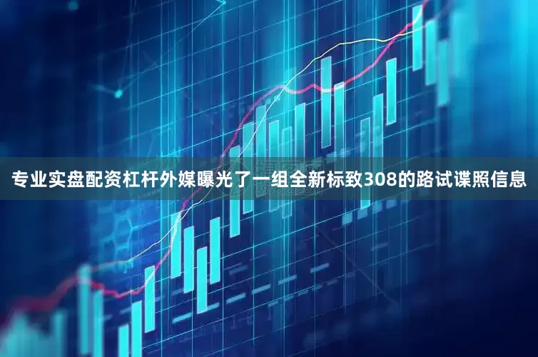 专业实盘配资杠杆外媒曝光了一组全新标致308的路试谍照信息
