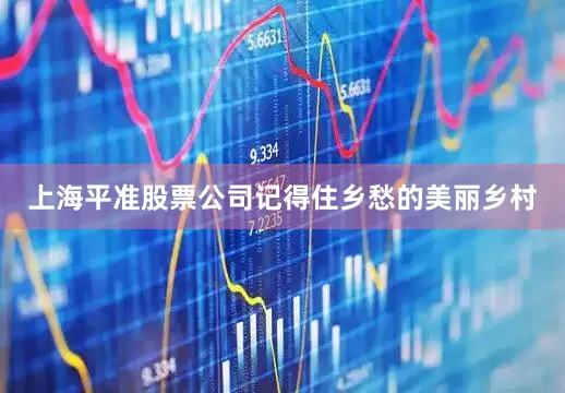 上海平准股票公司记得住乡愁的美丽乡村