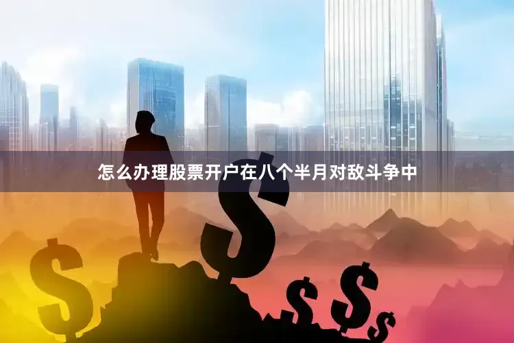 怎么办理股票开户在八个半月对敌斗争中