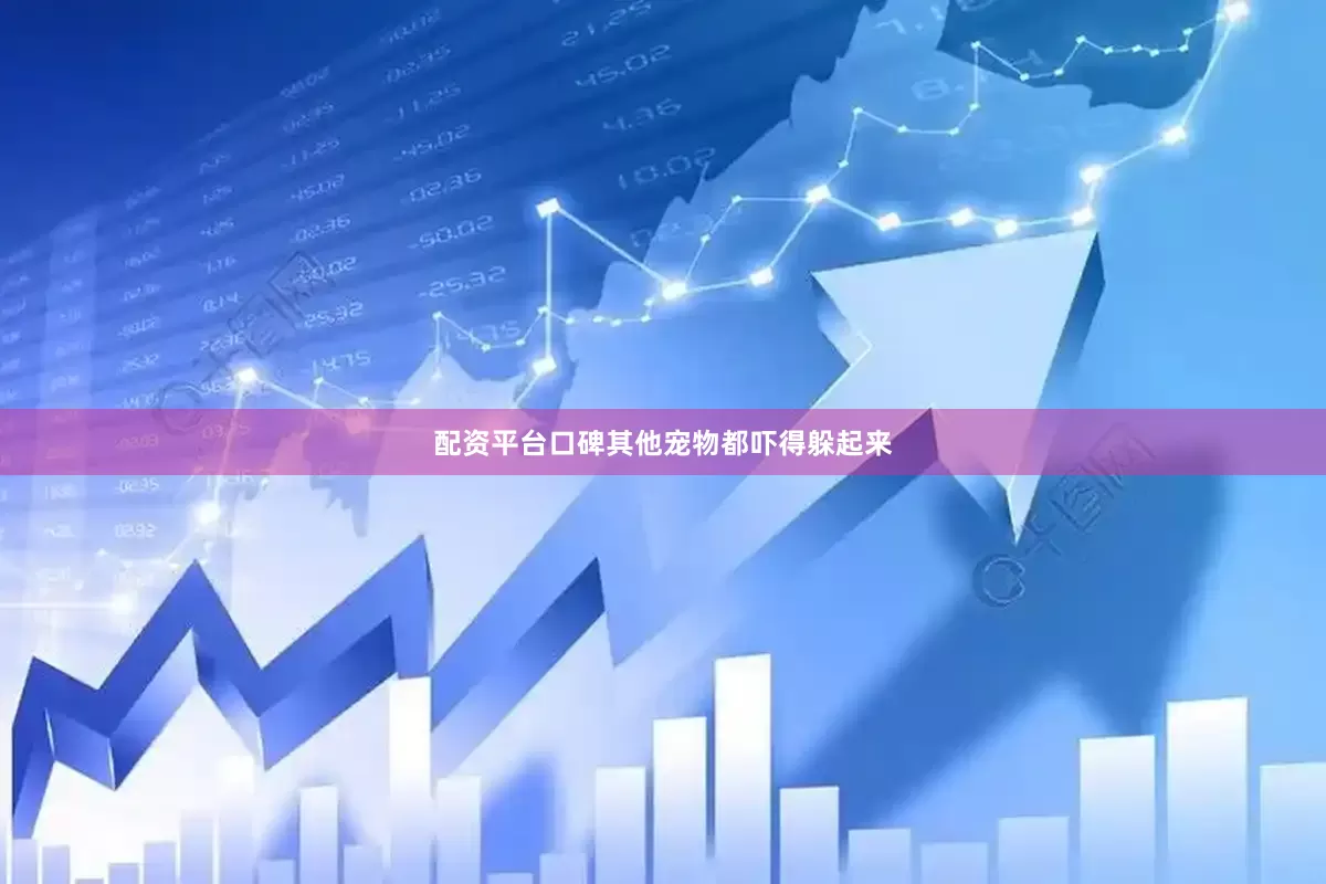 配资平台口碑其他宠物都吓得躲起来